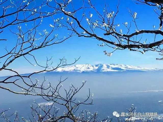 医者仁心 12岁舞者重拾梦想的希望之光